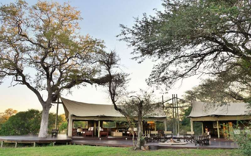 Plains Camp, Rhino Walking Safaris