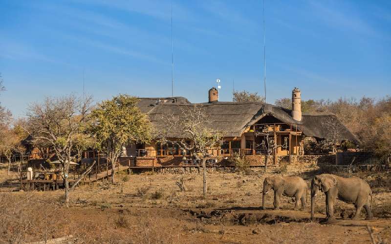 Royal Madikwe Luxury Safari Lodge, Madikwe Game Reserve