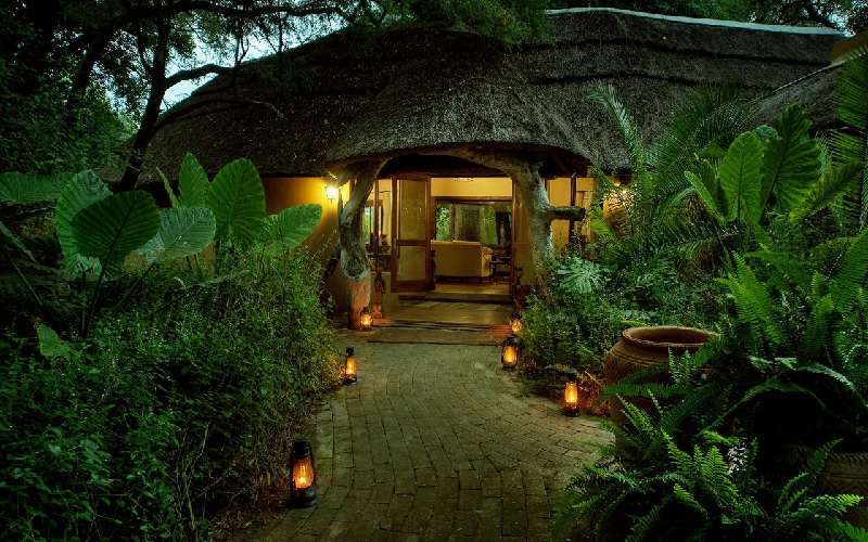 Royal Tree Lodge, Botswana