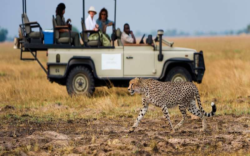 Safari Tour of Botswana & Zambia