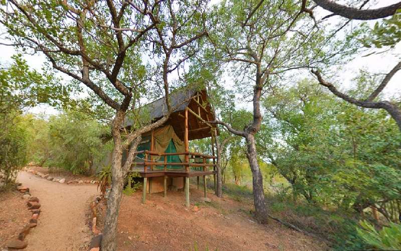 Sausage Tree Safari Camp