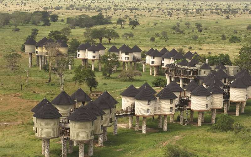 Salt Lick Safari Lodge