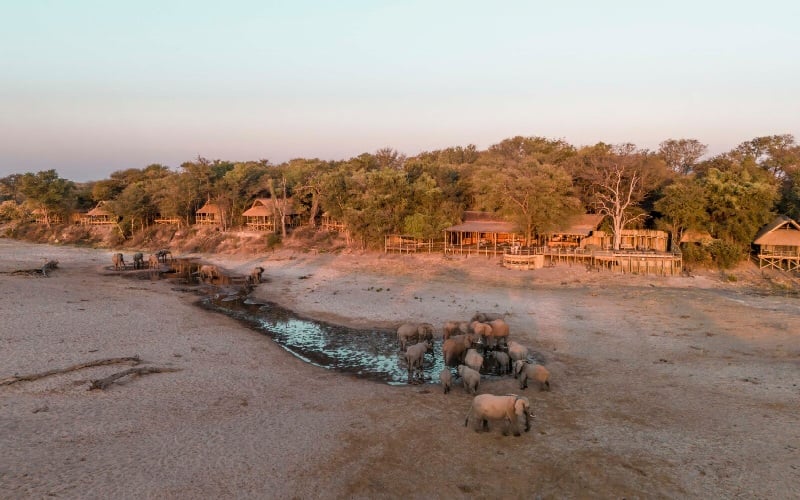 Savute Safari Lodge