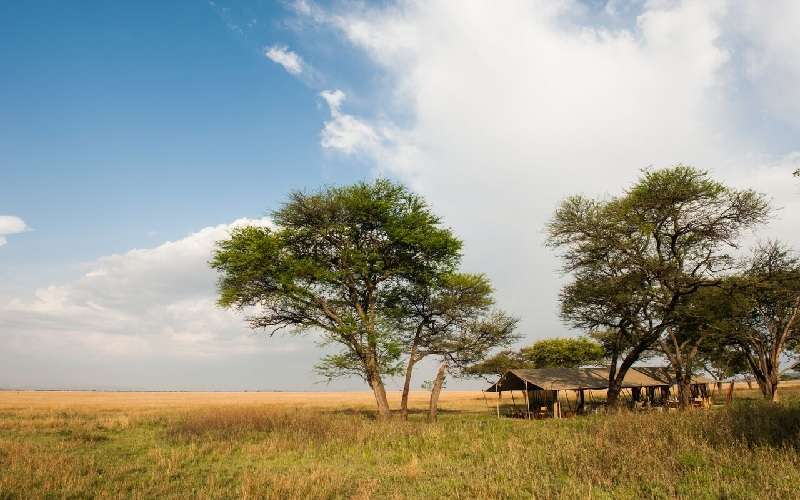 Serengeti Safari Camp