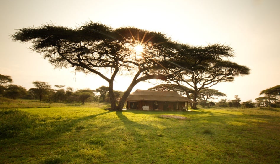 Serians Serengeti South Camp