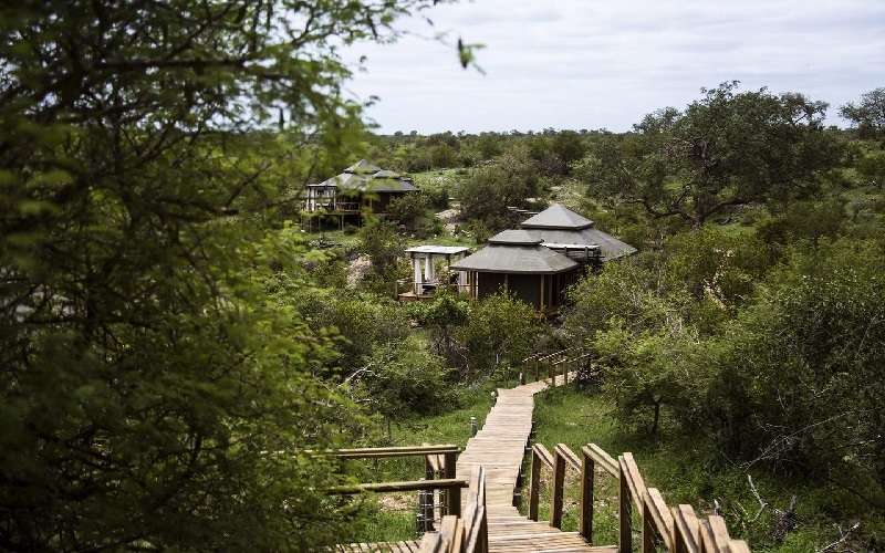 Simbavati Hilltop Lodge