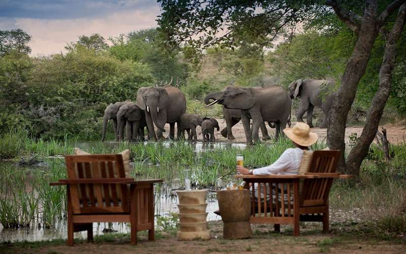 Tanda Tula Safari Camp