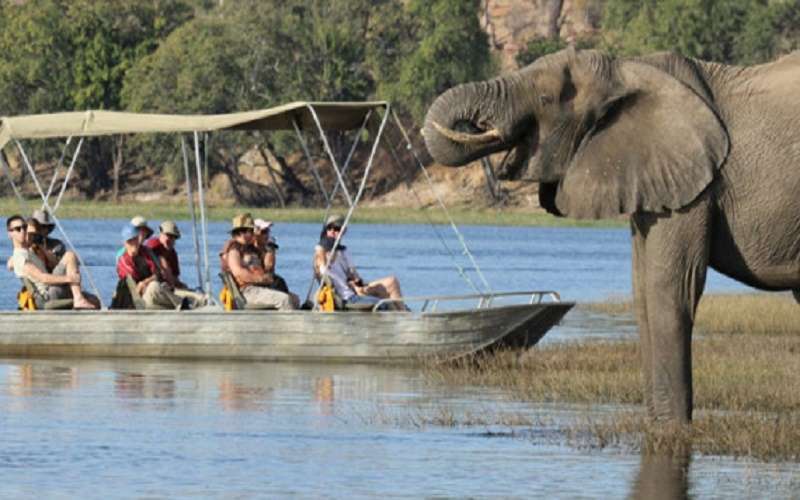 The Elephant Camp