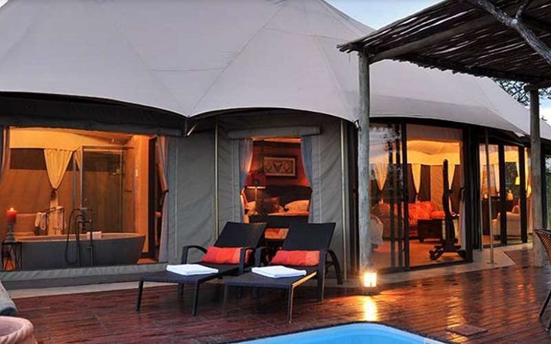 The Elephant Camp