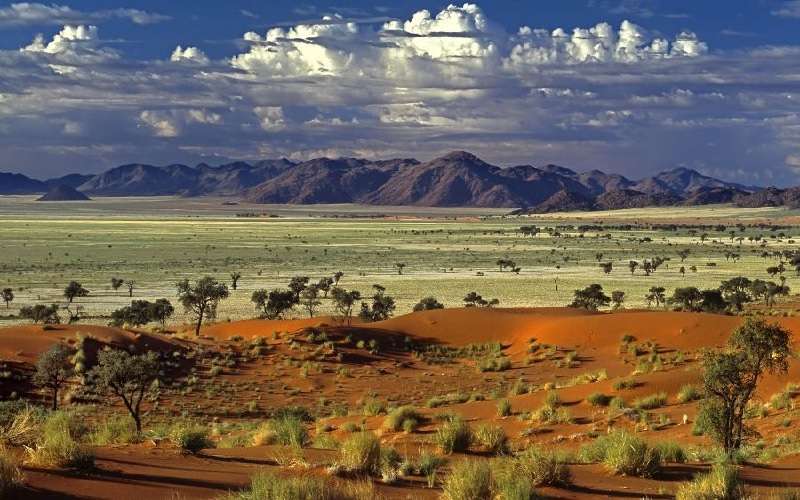 Safari to Namibia, Zimbabwe, Botswana