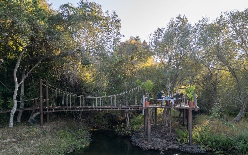 TintswaloSiankaba-Bridge
