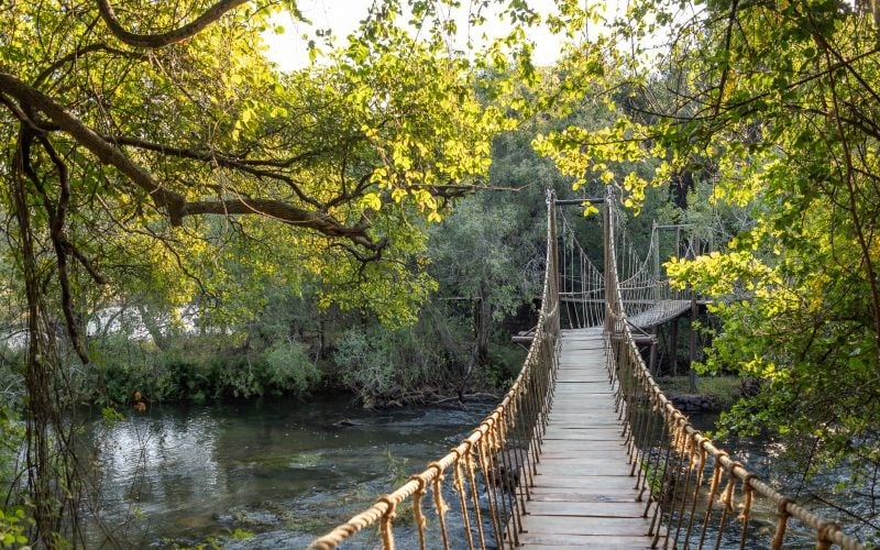 TintswaloSiankaba-Bridge