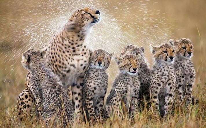 A Week of Wild Adventure Package