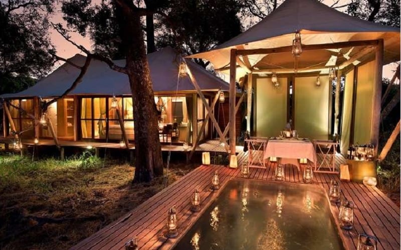 andBeyond Safari Botswana Honeymoon Offer