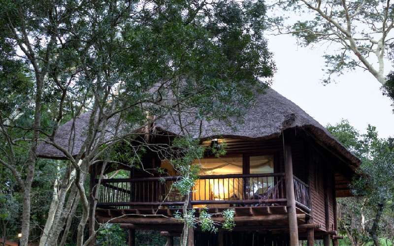 Zululand Tree Lodge